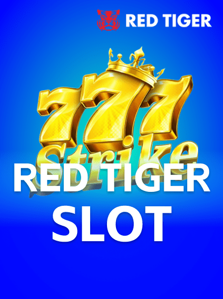 A Deep Dive into RapidBet\